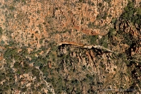 53. Alice Springs, Standley Chasm<br />Added 30 April 2017